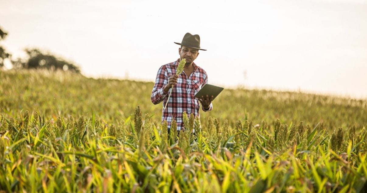 Male farmer gathering field data though Kizeo Forms