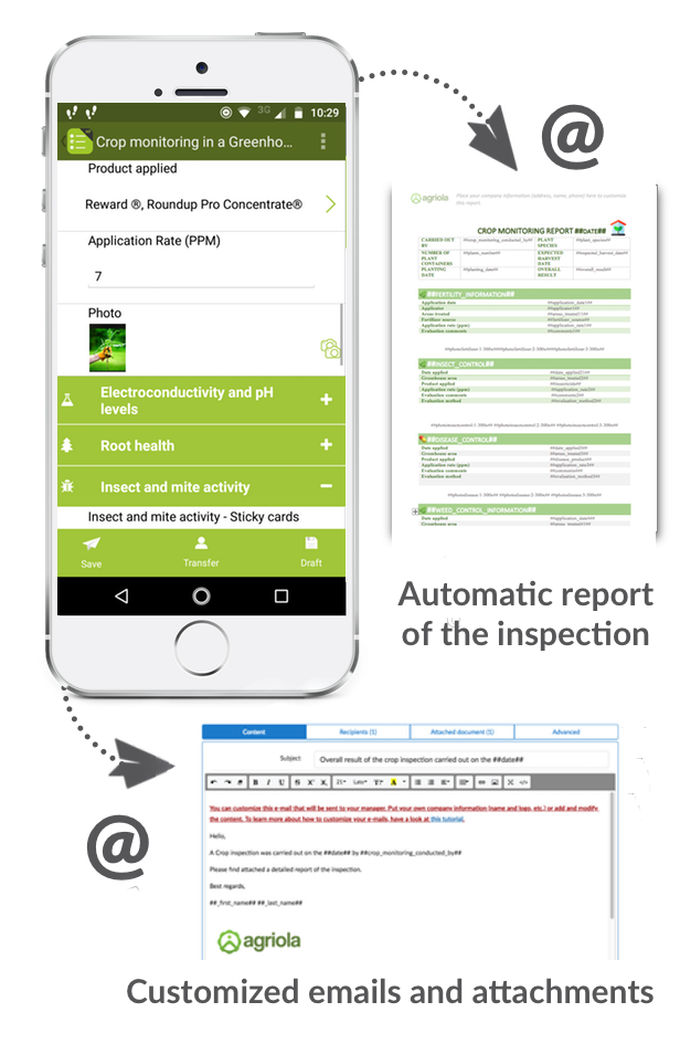 crop-monitoring-report-form